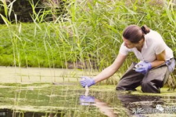 《水中生活》