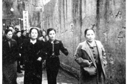 《母与女1960》,电影简介