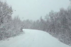 《雪行》,电影简介