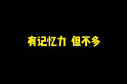 《限定的记忆》