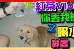 《黄金之犬》,黄金之犬的起源